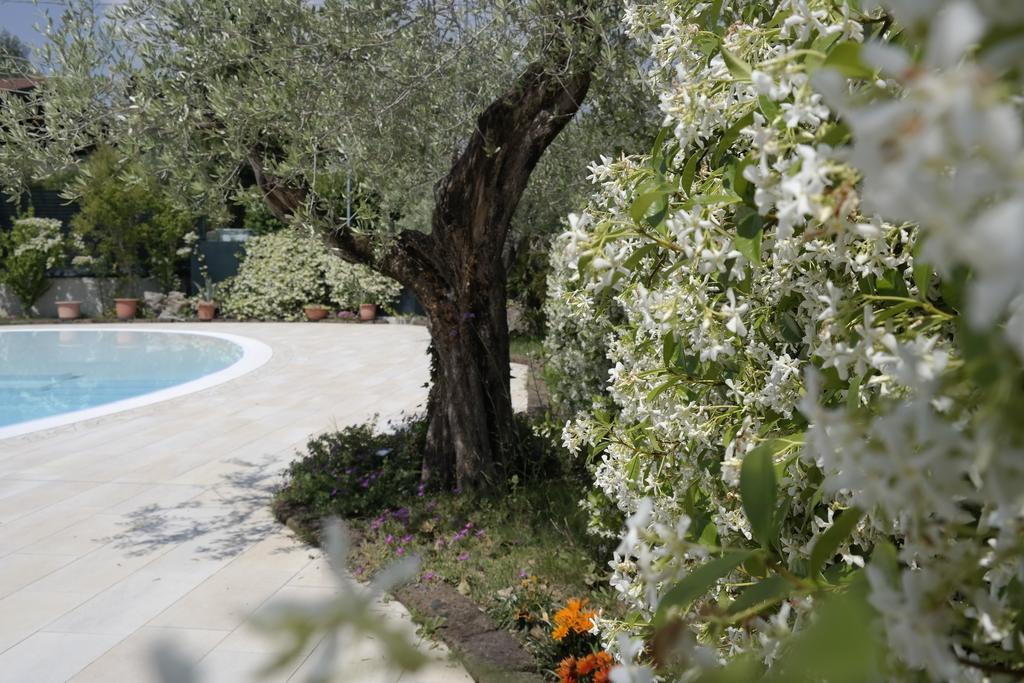 Campeggio Delle Rose Moniga del Garda Bagian luar foto